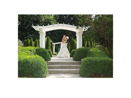  : Weddings : Chicago Wedding Photographer | Chicago Illinois Wedding Photographer | Chicago Journalistic Wedding Photography