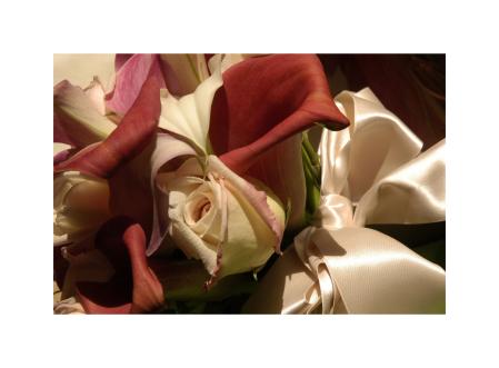  : Weddings : Chicago Wedding Photographer | Chicago Illinois Wedding Photographer | Chicago Journalistic Wedding Photography