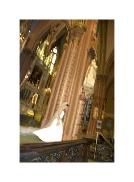  : Weddings : Chicago Wedding Photographer | Chicago Illinois Wedding Photographer | Chicago Journalistic Wedding Photography