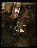  - ©2020 joegallophotography